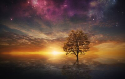 Fototapete Zauberbaum 3D