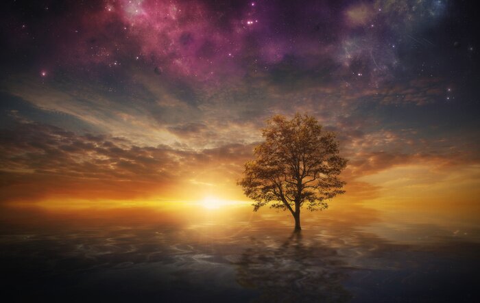 Fototapete Zauberbaum 3D