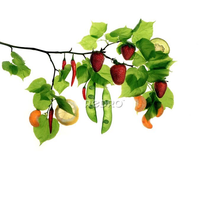 Fototapete Zauberbaum - Zweig mit Obst und Gemüse