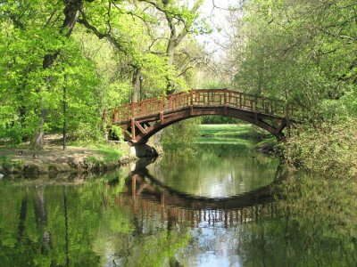 Fototapete Zauberhafte Brücke inmitten von Bäumen