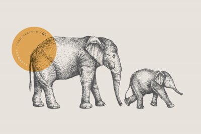 Fototapete Zeichnung der Elefanten und der Sonne