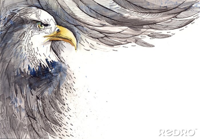 Fototapete Zeichnung eines Adlers vor einem hellen Hintergrund