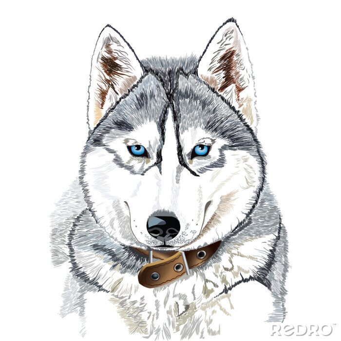 Fototapete Zeichnung eines grauen Hundes
