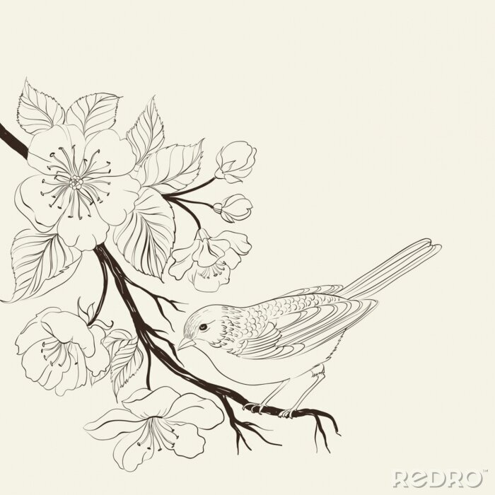 Fototapete Zeichnung eines Vogels am Zweig