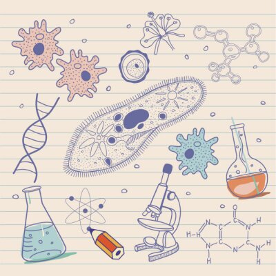 Fototapete Zeichnung mit chemischen Symbolen