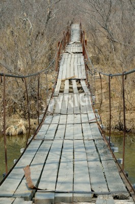 Fototapete Zerstörte Brücke im herbstlichen Wald