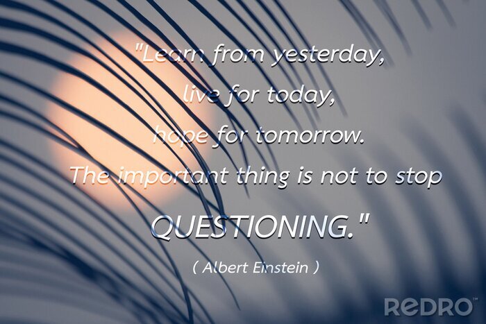 Fototapete Zitat Albert Einstein über die Sonne