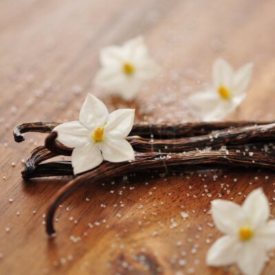 Fototapete Zucker Vanille und Blüten