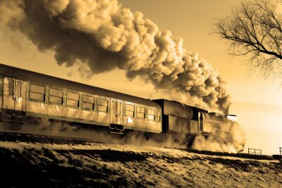 Zug und Dampf-Wolken