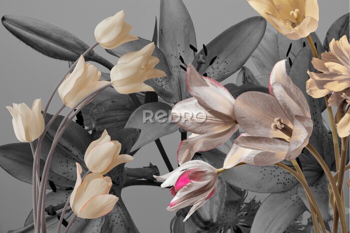 Fototapete Zusammensetzung von Tulpen und Linien