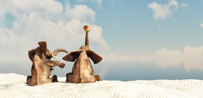 Fototapete Zwei Elefanten mit einem Ball