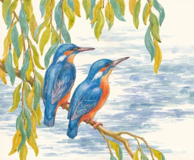 Fototapete Zwei gemalte Vögel
