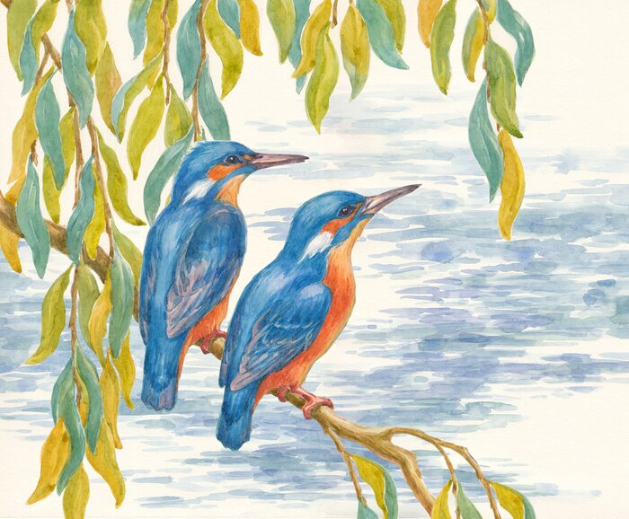 Fototapete Zwei gemalte Vögel