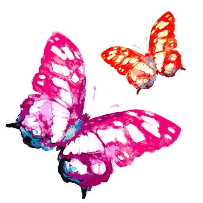 Fototapete Zwei Schmetterlinge in Aquarell
