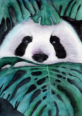 Panda Aquarell-Panda in Monstera-Blättern