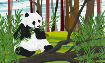 Panda Panda in einem asiatischen Wald