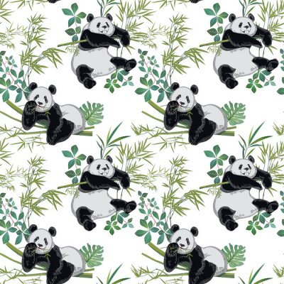 Panda Pandabären auf grünen Zweigen
