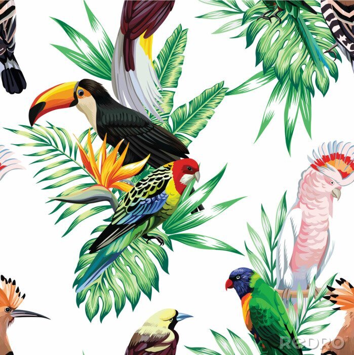 Poster 3D-Vögel und afrikanische Tiere