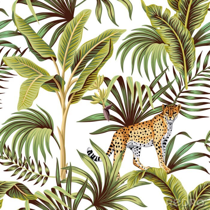 Poster Abbildung einer Wildkatze im Dschungel