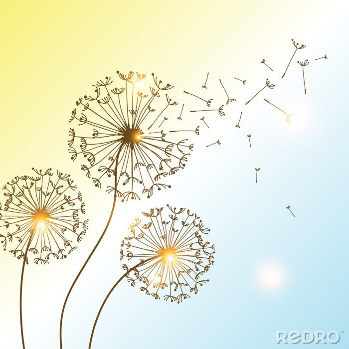 Poster Abbildung mit Pusteblume im WInd