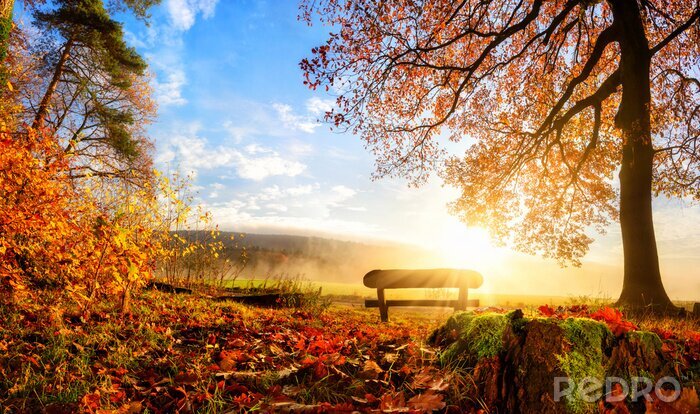 Poster Abend im Park