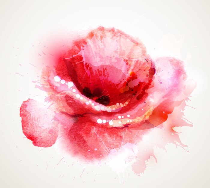 Poster Abstrakte rote Mohnblume