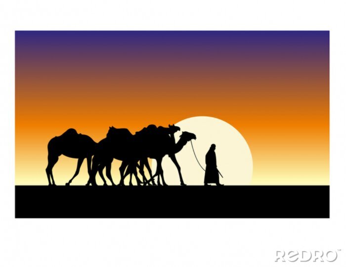 Poster Afrika Mann führt Kamele