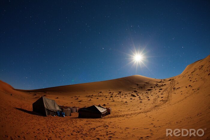 Poster Afrika nachts in der Wüste