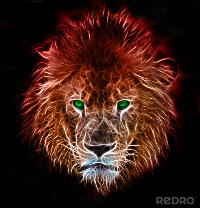 Poster Afrikanischer Löwe auf schwarzem Hintergrund