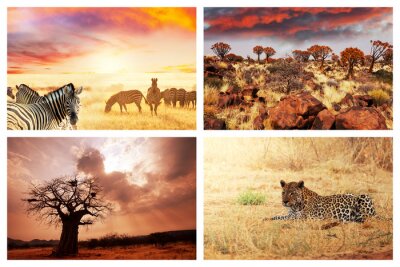 Afrikanisches Motiv mit Tieren