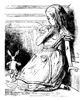 Poster Alice im Wunderland schwarz-weiße Illustration