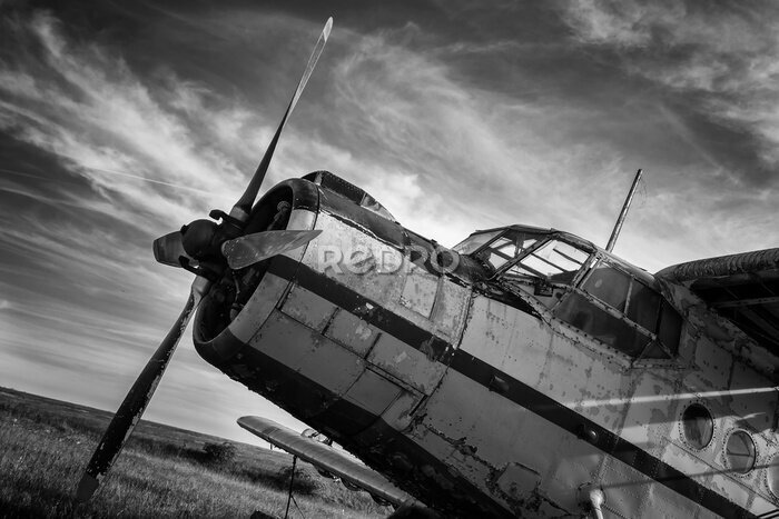 Poster Altes Flugzeug auf einem Feld in Schwarzweiß