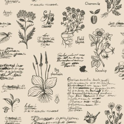 Poster Altes Herbarium vintage
