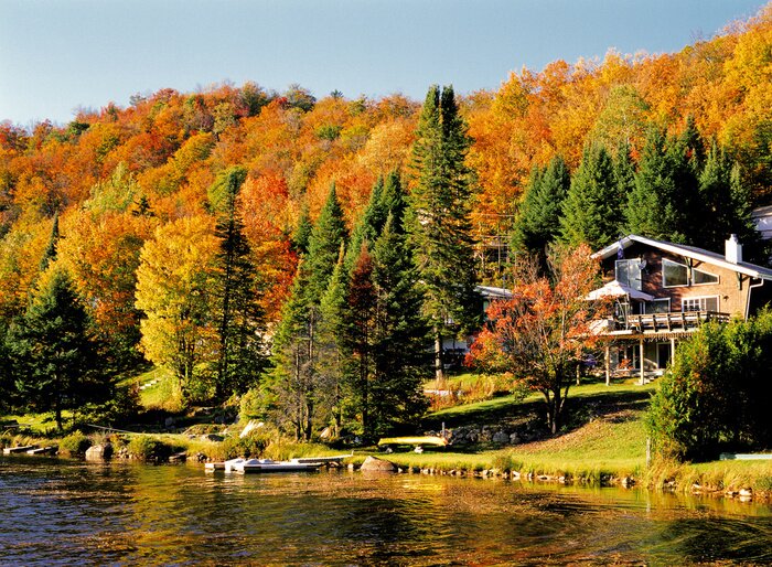 Poster Amerikanische Waldvilla am Seeufer