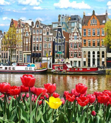 Amsterdam rote Tulpen am Kanal
