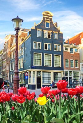 Poster Amsterdam rote Tulpen und Fahrräder auf einem Platz