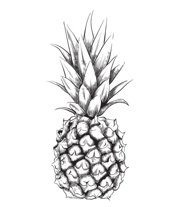 Poster Ananas im Lineart-Stil