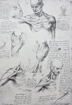 Poster Anatomische Skizzen