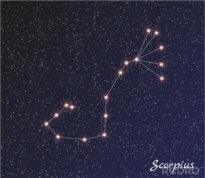 Poster Anordnung von Sternen, die das Sternbild Skorpion zeigt