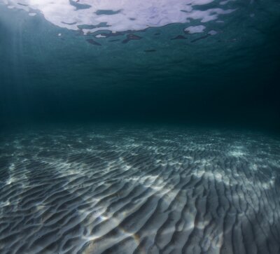 Ansicht des Meeresbodens