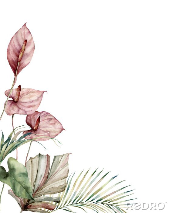 Poster Aquarell-Anthurie mit rosa Blüten