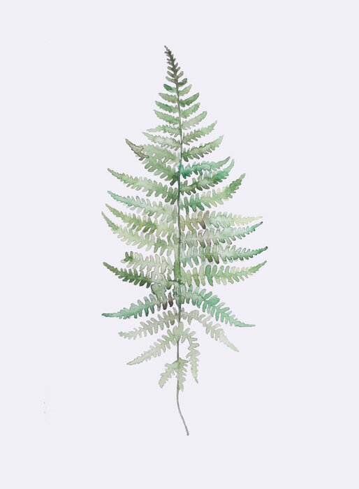 Poster Aquarell Farnzweig