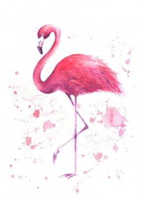 Poster Aquarell-Flamingo