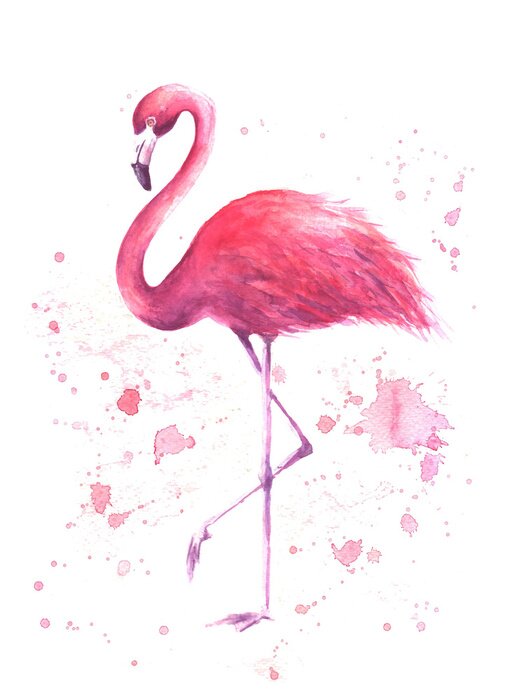 Poster Aquarell-Flamingo