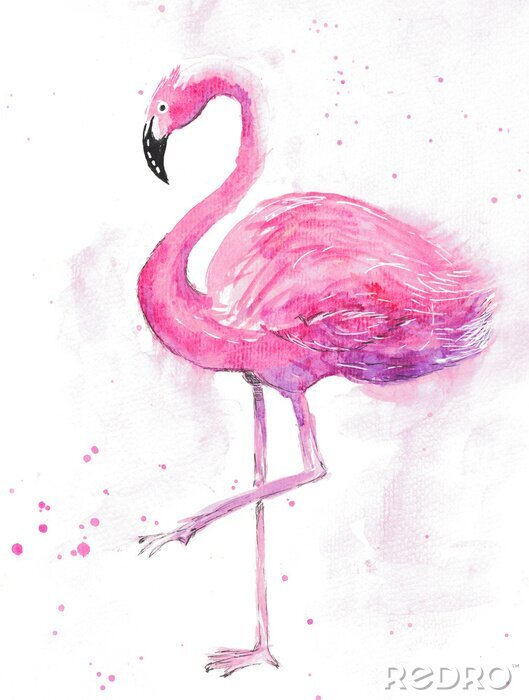Poster Aquarell Flamingo auf hellem Hintergrund