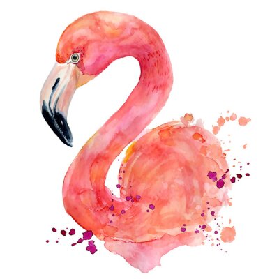 Aquarell Flamingo auf weißem Hintergrund