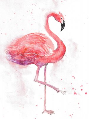 Aquarell-Flamingo und Punkte