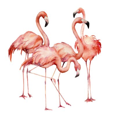 Poster Aquarell Flamingos in einem Schwarm