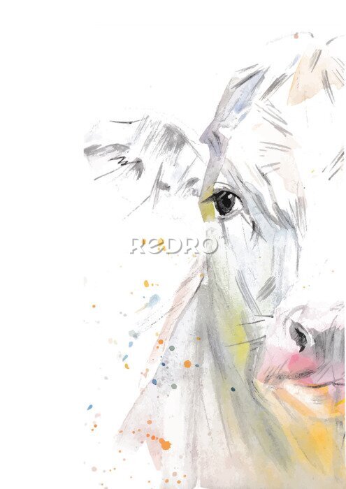 Poster Aquarell-Kuh auf weißem Hintergrund