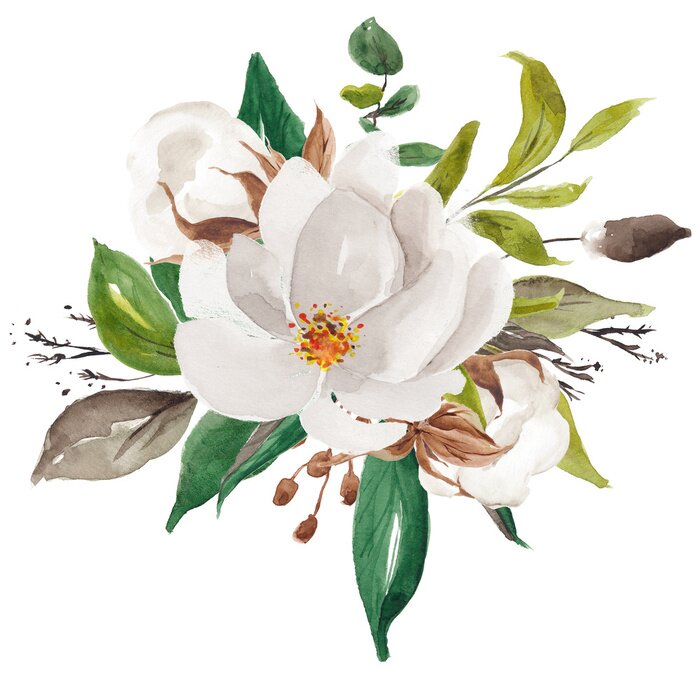 Poster Aquarell Magnolien Zusammensetzung mit Blättern